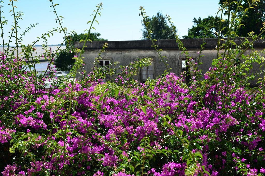 Posada Del Virrey Colonia del Sacramento Ngoại thất bức ảnh